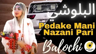 Pula Birech Rahe Sara Pedake Mani Nazani Pari By Habib Qalandari Balochi Song 