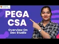 Pega CSA Overview on Dev Studio Overview on Dev Studio in Pega CSA Pega CSA CloudFoundation