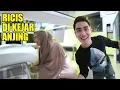 Download Lagu DETIK-DETIK RICIS DIKERJAIN VERREL DIRUMAHNYA - Ricis Kepo