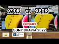 Sony X90K vs X80K