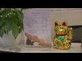 Download Lagu “Traditionele Chinese Geneeswijzen zijn voor iedereen goed, iedereen heeft balans nodig.