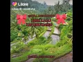 Download Lagu INI LAGU LINTING DAUN