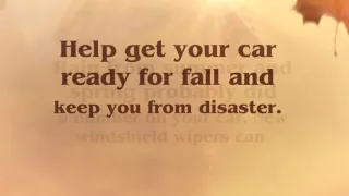 Impex Auto Sales - Fall Car Care