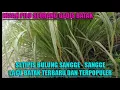 Download Lagu \