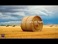 randy travis - where that came from (lyrics)