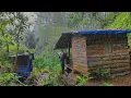 Lagu Ketakutan 😱 Di Guyur Hujan Deras Dan Petir 🌧️ - Tinggal Di Pondok Hutan - Memasak Jantung Pisang