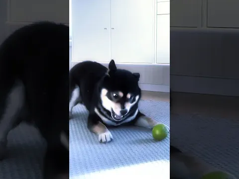 Max is alive