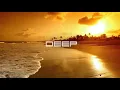 Download Lagu DEEP XVI [Rüfüs Du Sol, CamelPhat, Kolsch, \u0026ME, Mind Against and more] by markQ