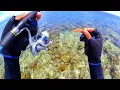 Download Lagu Tantangan Satu Lure Satu Strike - ternyata lurenya sekiller ini - SALTWATER FISHING
