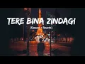 Download Lagu Tere Bina Zindagi (Slowed + Reverb) | Heart Touching Sad Song 2025 |Ranotosh Das| Vibe Creative Song