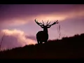 Nightnoise-A Different Shore