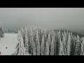 MamaRika & KOLA - Люди #Ukranian music