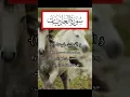 Download Lagu Surah Al Adiyat by Shiekh Abdul Rehman Sudais/Full Arabic