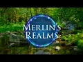 Deep Healing Music for Dogs 🐾 528Hz Miracle Tone