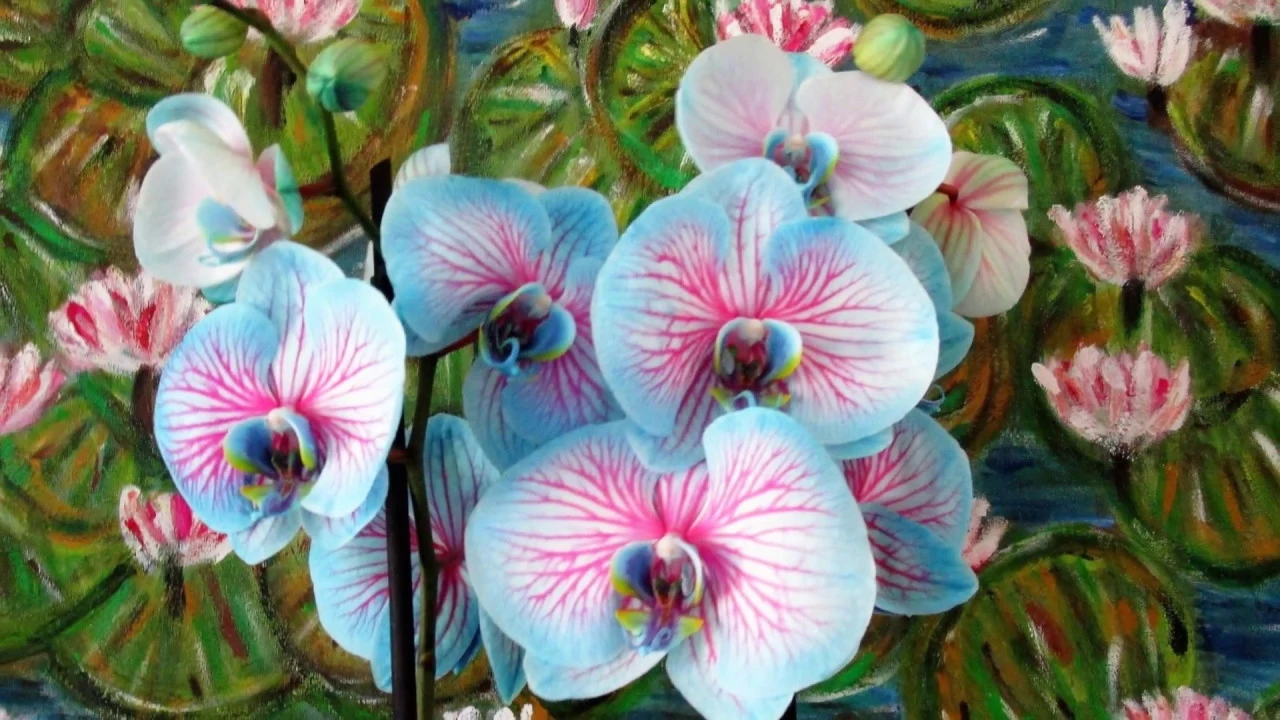 BLUE ORCHIDS