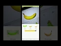 Using AI to classify banana ripeness states