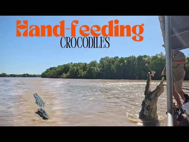 Is There Such Thing as a Vegan Croc?