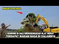 Download Lagu Jatim Viral !! Gunung Digali Menggunakan Alat Berat' Ditemukan Makam Ular Naga Didalamnya