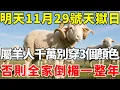 Lagu 屬羊人極其危險！明天11月29號「天獄日」，閻羅王下凡，老天收人了！這3色衣服千萬別穿，否則全家倒楣一整年！【慧安說禪】#生肖 #財運 #運勢 #屬相 #風水 #命理