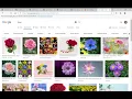 Project 0 of CS50 s Web Programming with Python and JavaScript
