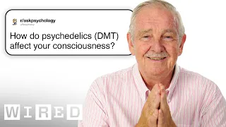 Neuroscientist Answers Psychedelic Therapy Questions