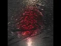 sobhhï – like i did