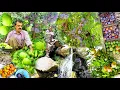 Download Lagu Harvesting wild plums by nomads | A pristine documentary from the heart of the Dena Mountains