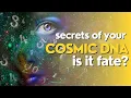 Decode Your Birth Chart Discover the Secrets of Your Cosmic DNA