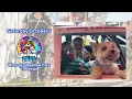Bring your pet to Grateful Fest in Yorktown