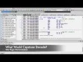 IDA What Would Capstone Decode Plugin Demonstration