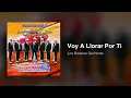 Los Rieleros Del Norte - Voy A Llorar Por Ti (Audio)