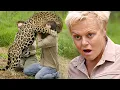 Download Lagu Jaguar: Heer van de Pantanal