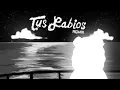 Sech, Beéle - Tus Labios Remix (Visualizer)