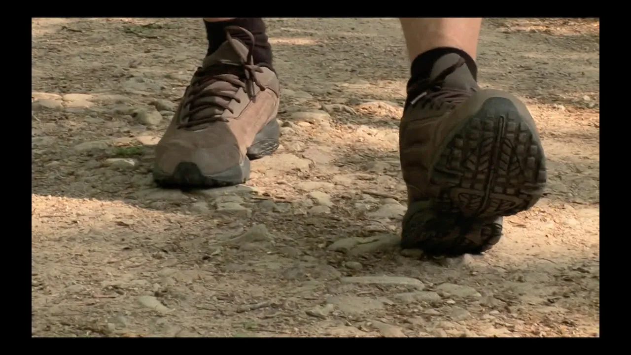 2 Nordic Walking - Technik ohne Stöcke