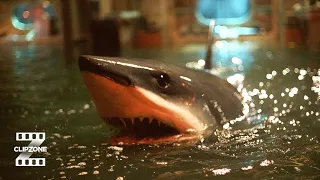deep blue sea you ate my bird clipzone high octane hits