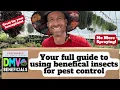 Your FULL guide to releasing beneficials insects to control pests on your plants