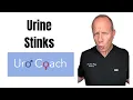 My Urine Stinks Why