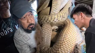 MGA JUMBO COBRA  KINAKATAKUTAN SA SKINITA 