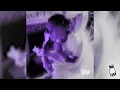 Zola - L'ARMOIRE ( slowed + reverb )