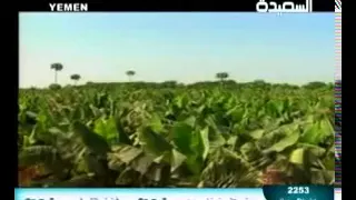 99 فيصل علوي 