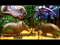 Download Lagu AIR SUNGAI PASANG SAAT BERBURU BABI HUTAN DAN MEMANGANG BABI HASIL BURUAN