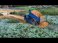 Updated Project ! Komatsu Bulldozer Landfill Delete Pond Making Road Good Skill Dump Truck Push Soil