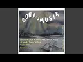 Download Lagu No Wonder the Danube Is Blue
