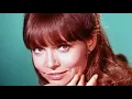 13 Sweet Photos of Barbara Feldon