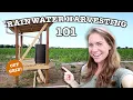 RAINWATER COLLECTION FOR BEGINNERS | 16 Things To Know About Harvesting Rain Water BEFORE You Start