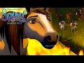 Download Lagu Lucky en het open onthaal | SPIRIT SAMEN VRIJ
