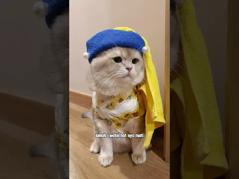 🙀: Kukira dia lah orangnya… TERNYATA!! #funnyvideo #cat #kucinglucu #comedy #funny