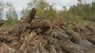 What It S Taking Me To Establish Property 