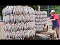 Download Lagu 1000! Gerookte vliegende vis maken, vliegende vis vangen - Taiwanese gerechten