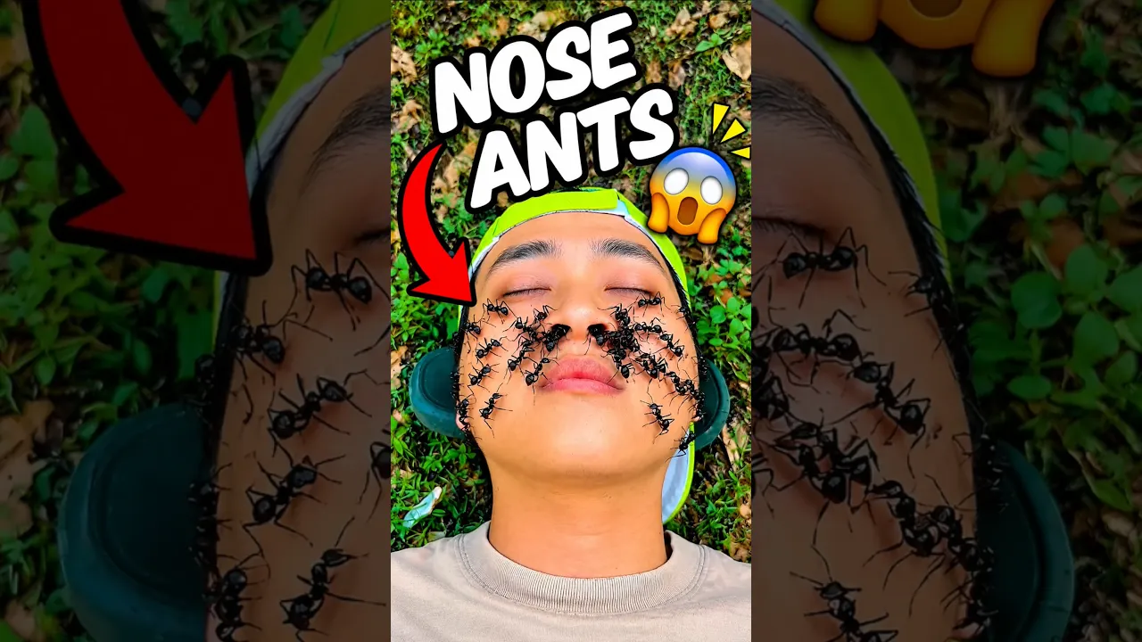 Ants in His Nose 😱